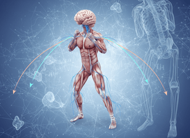 Unlocking the Full Potential of the Brain: The Power of Cross-Lateral Movement