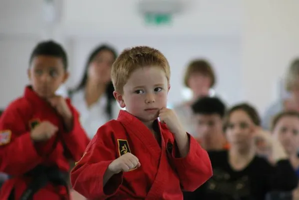 Little Ninjas